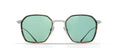 BRETT Francois Sun C31 Matte Titanium/Tortoise