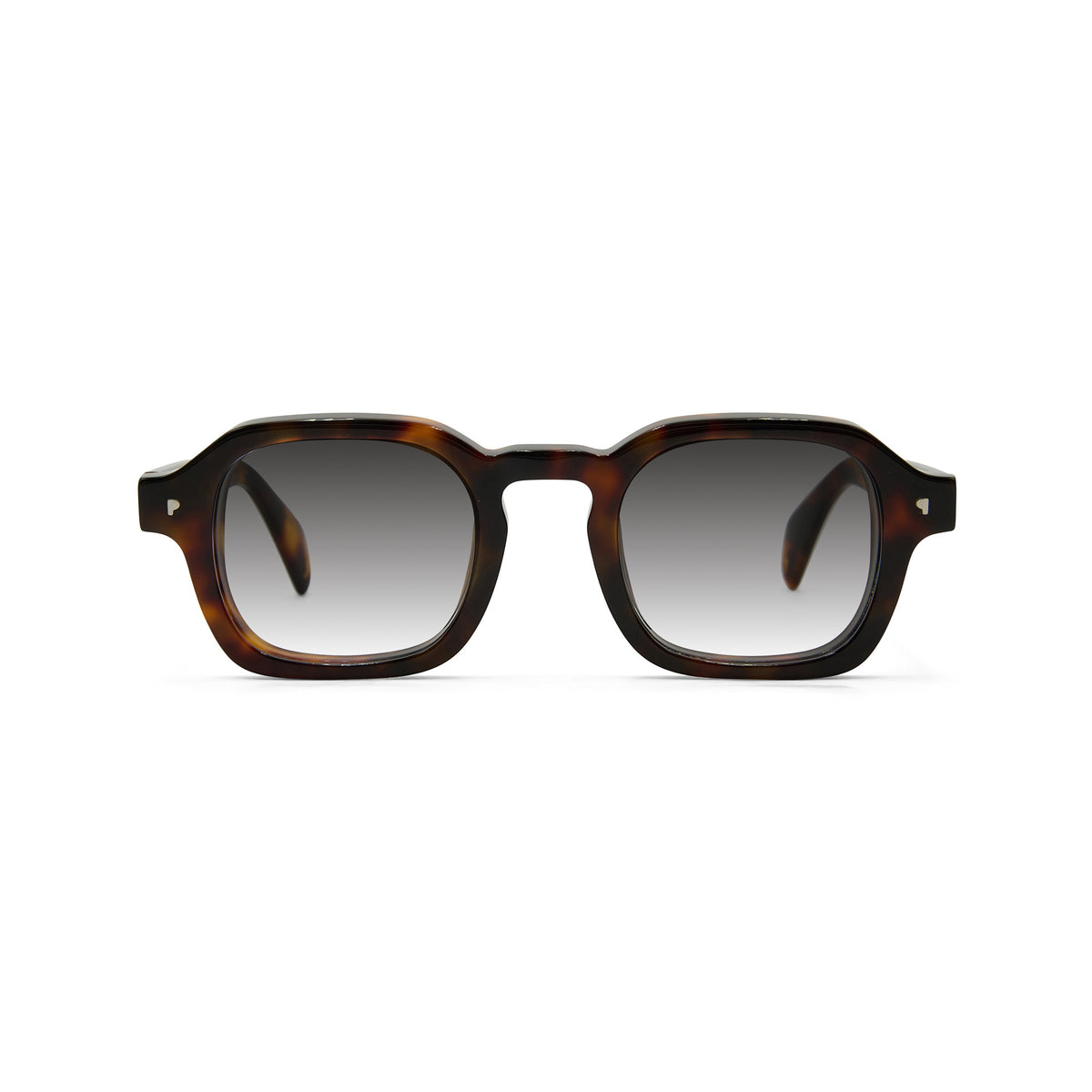 PAWA Trunks Tortoise – lunettes de soleil