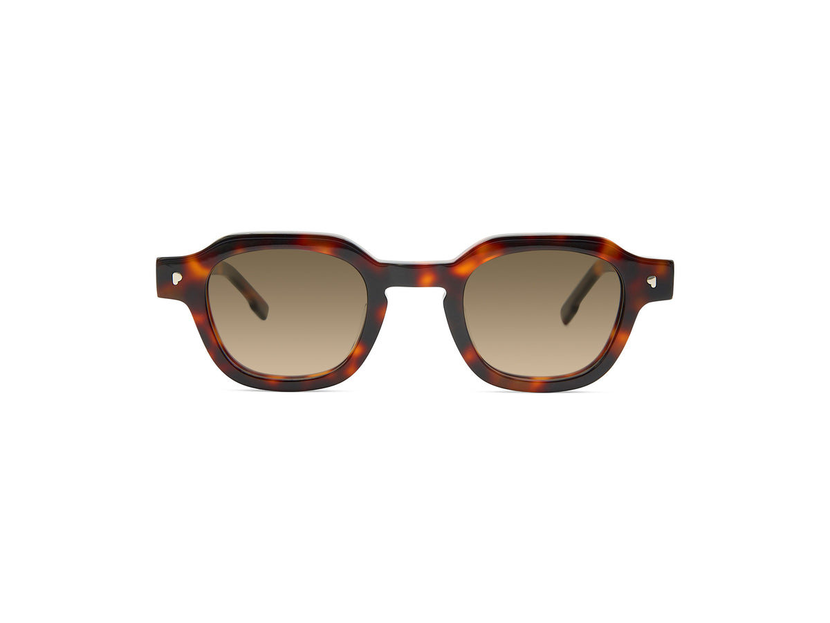 PAWA Ginza Tortoise – lunettes de soleil